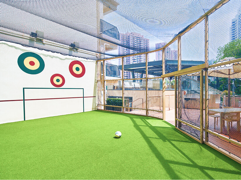 Ball Cage